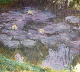 Waterlilies